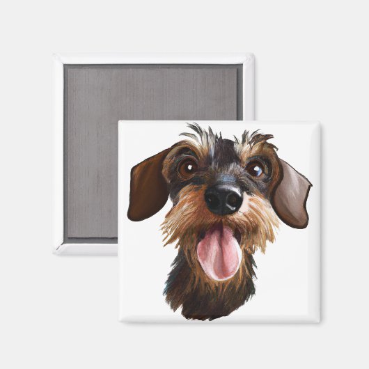 Happy Drahthaar Dackel Magnet (Vorderseite/Rückseite)