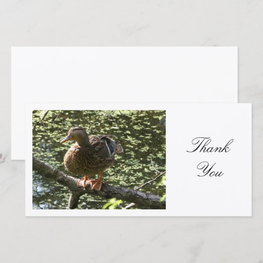 Happy Duck - Danke (Vorne/Hinten)