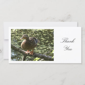 Happy Duck - Danke