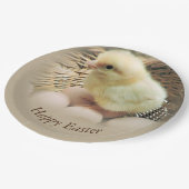 Happy Easter Baby Chick in einem Korb Pappteller (Schrägansicht)
