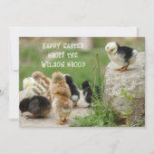 Happy Easter Baby Chicks Grußkarte Einladung (Vorderseite)