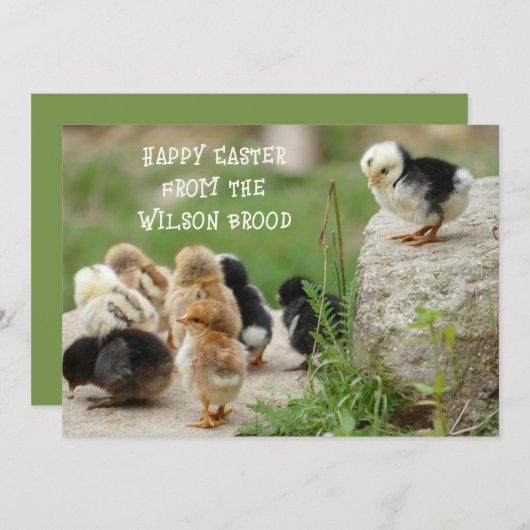 Happy Easter Baby Chicks Grußkarte Einladung (Vorne/Hinten)