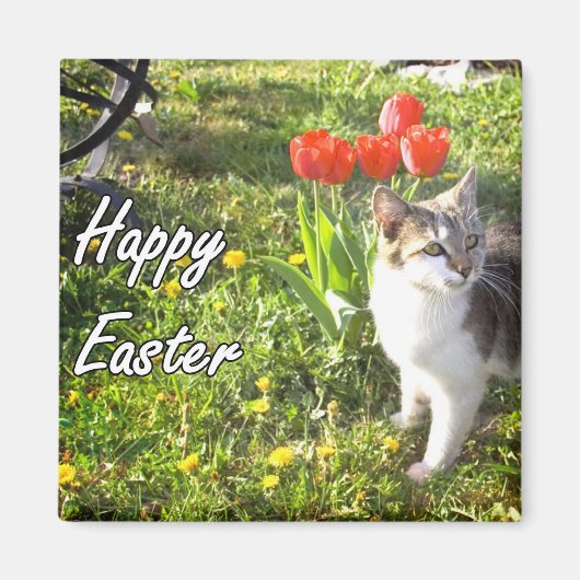 Happy Easter Cat Magnet (Vorne)