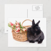 Happy Easter Feiertagspostkarte (Vorne/Hinten)