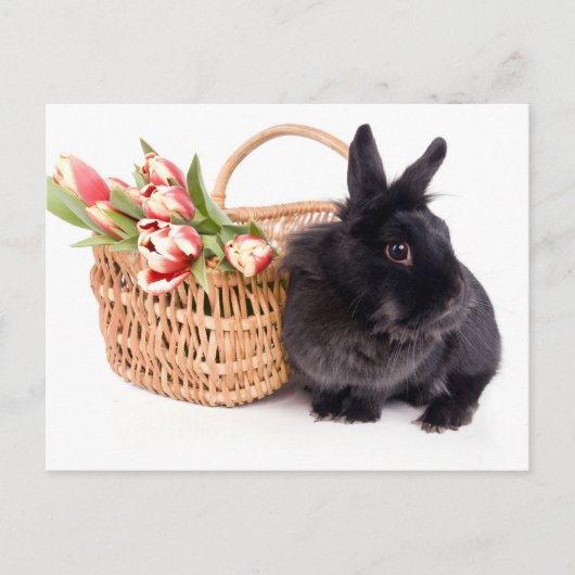 Happy Easter Feiertagspostkarte (Vorderseite)