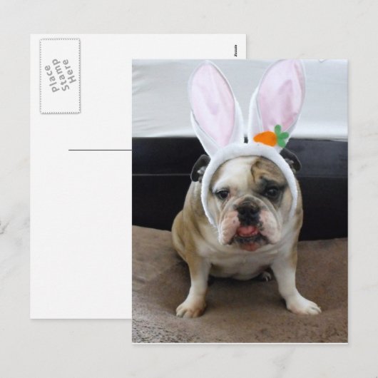 Happy Easter Feiertagspostkarte (Vorne/Hinten)