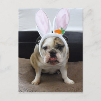 Happy Easter Feiertagspostkarte