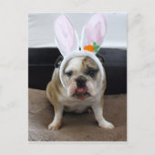 Happy Easter Feiertagspostkarte (Vorderseite)