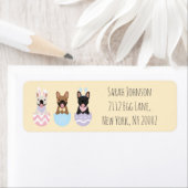 Happy Easter French Bulldogs (Insitu)