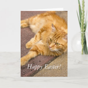 Happy Easter Ginger Cat Holiday Card Feiertagskarte