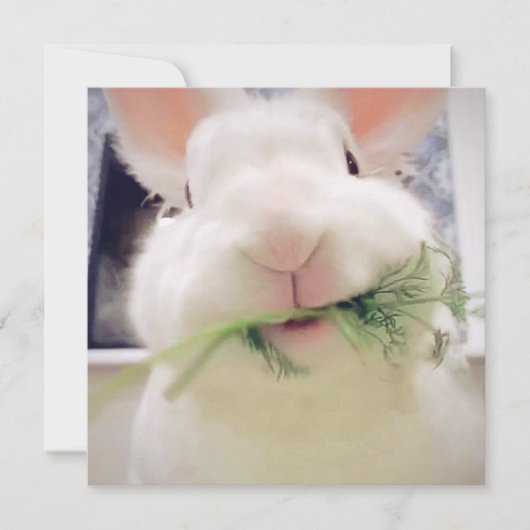 Happy Easter Holiday Card Feiertagskarte (Vorderseite)