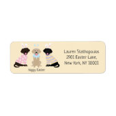 Happy Easter Labrador Retriever Hunde (Vorne)