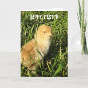 Happy Easter Little Chick Card Feiertagskarte