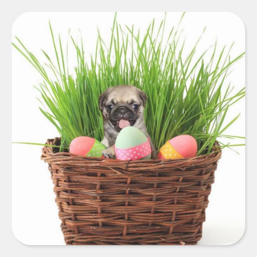 Happy Easter Mops Welpe Quadratischer Aufkleber (Vorderseite)