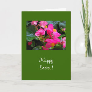 Happy Easter pink Begonia Blume Feiertagskarte
