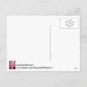 Happy Easter Pink Hyacinths Flower Postcards Feiertagspostkarte (Rückseite)