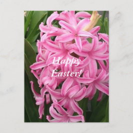 Happy Easter Pink Hyacinths Flower Postcards Feiertagspostkarte