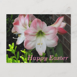 Happy Easter Pink Lily Postcard Feiertagspostkarte