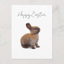 Happy Easter Postkarte