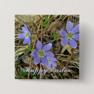 Happy Easter Soft Blue Hepatica Wildblume Button