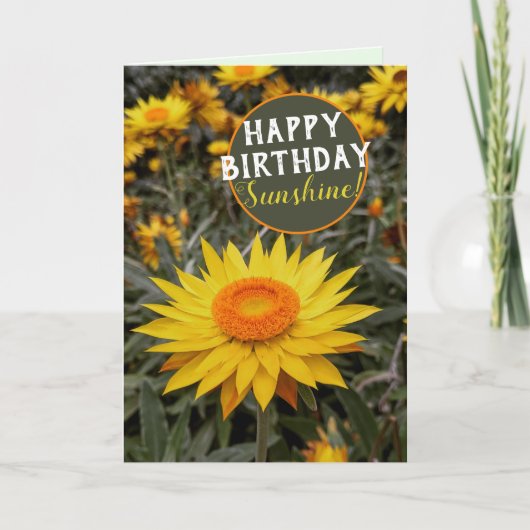 Happy Energy Paper Daisy Blume Happy Birthday Karte (Vorderseite)