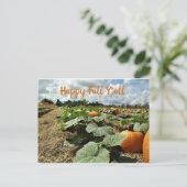 Happy Fall Pumpkins in einem Patch-Foto Postkarte (Stehend Vorderseite)
