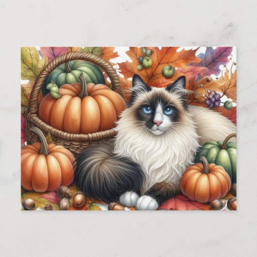 Happy Fall Ragdoll Katze Herbstkarte Postkarte (Vorderseite)