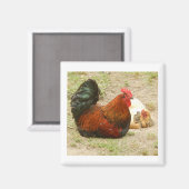 Happy Family - Rooster & Chicken 2" Magnet (Vorderseite/Rückseite)