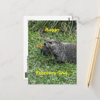Happy February 2nd Custom Groundhog Postcards Postkarte