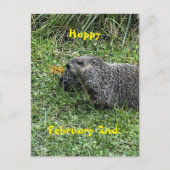 Happy February 2nd Custom Groundhog Postcards Postkarte (Vorderseite)