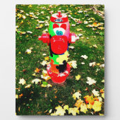 Happy Fire Hydrant Fotoplatte (Vorderseite)