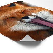 Happy Fox Wall Poster (Ecke)