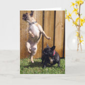 Happy French Bulldog Karte (Gelbe Blume)