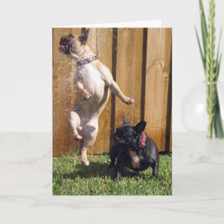 Happy French Bulldog Karte