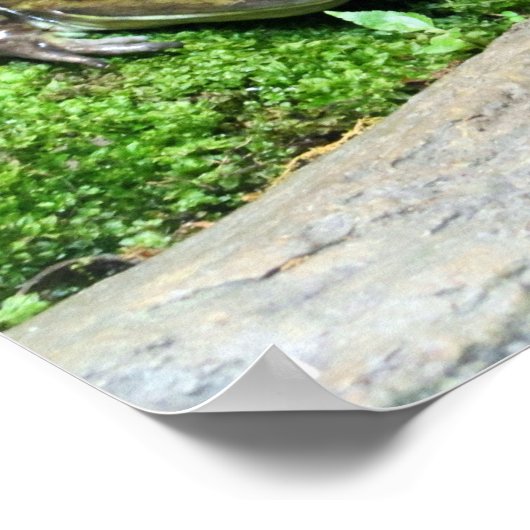 Happy Frog Poster (Ecke)