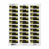 Happy Garden Snails auf Blättern (Vorne)