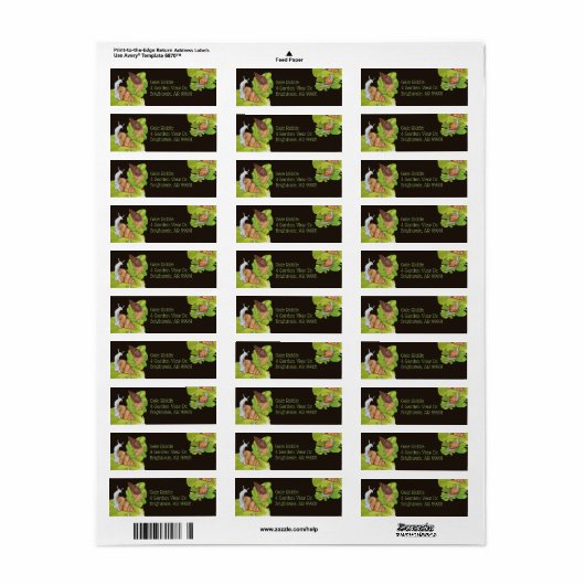 Happy Garden Snails auf Blättern (Vorne)