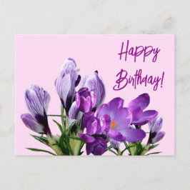 Happy Geburtstag lila Crocuses Blume boho niedlich Postkarte