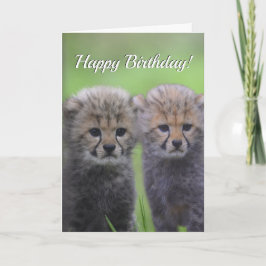 Happy Geburtstag Niedlichen Cheetah Sibling Cubs Karte