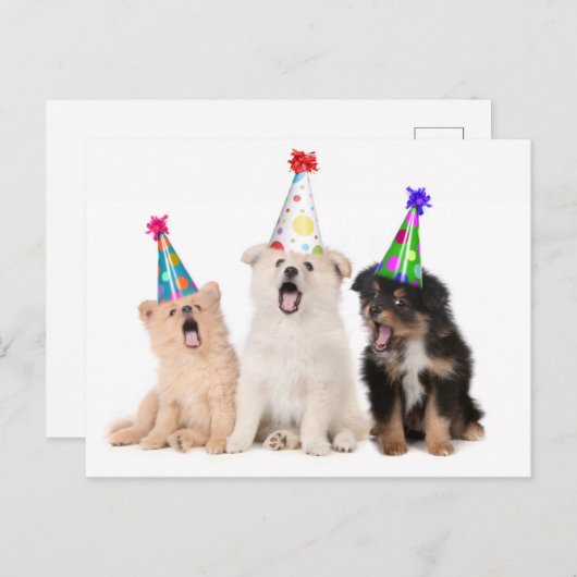 Happy Geburtstag Welpen Postkarte (Vorne/Hinten)