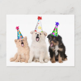 Happy Geburtstag Welpen Postkarte