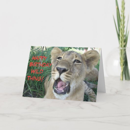Happy Geburtstag wilde Ding Löwe cub Karte (Vorderseite)