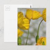 Happy Gelb Postkarte (Vorne/Hinten)