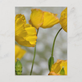 Happy Gelb Postkarte