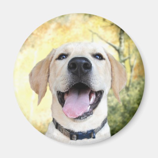 Happy Gelbe Labrador Magnet (Vorne)