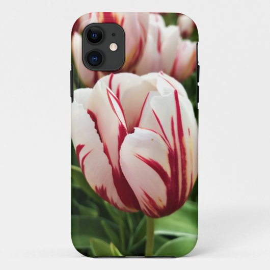 Happy Generation Tulip Case-Mate iPhone Hülle (Rückseite)