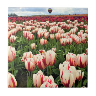 Happy Generation Tulip Field, Oregon Fliese
