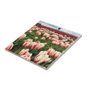 Happy Generation Tulip Field, Oregon Fliese (Seite)