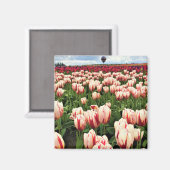 Happy Generation Tulip Field, Oregon Magnet (Vorderseite/Rückseite)