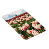 Happy Generation Tulip Field, Oregon Magnet (Rechte Seite)